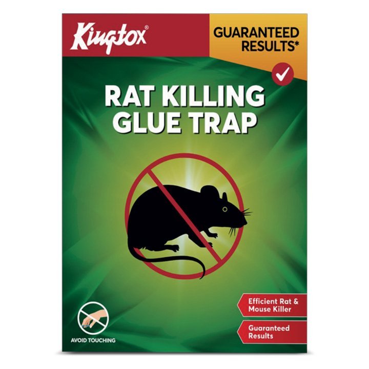 Kingtox Rat Killing Glue Trap
