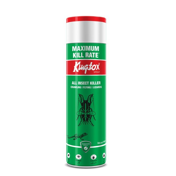 Kingtox All Insect Killer Spray (Green) 300ml